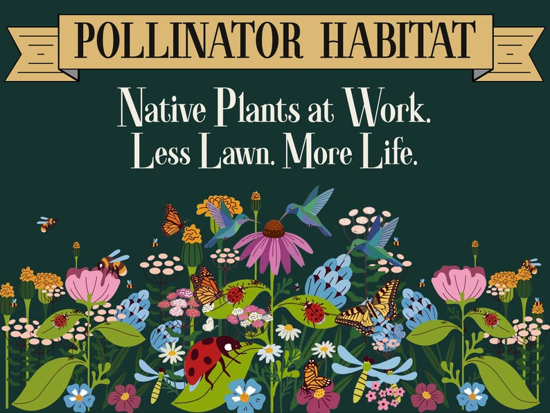 May include: A dark green sign featuring the text POLLINATOR HABITAT, Native Plants at Work. Less Lawn. More Life. The illustration displays colourful flowers, hummingbirds, butterflies, ladybirds, bees, and dragonflies in a garden setting.