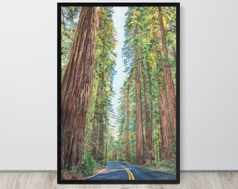 Redwood Highway Giclée Art Print, Highway 101 Redwoods, Archival Quality, Colored Pencil Art