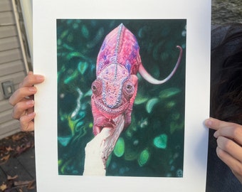 Tyler's Chameleon Limited Edition Print
