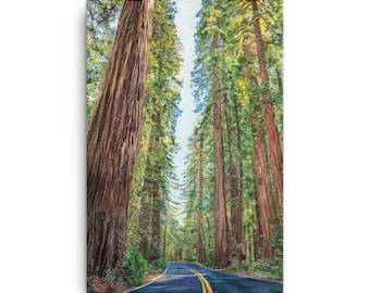 Redwood Highway Canvas, Highway 101, Redwood Trees Canvas Print
