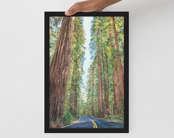 Redwood Highway Giclée Impresión Archivo Bellas Artes Impresión de la Redwood Forest Highway 101