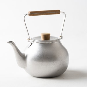 Japanese Stainless Steel Teapot / Stainless Green Tea Pot / Unique Tea Pot