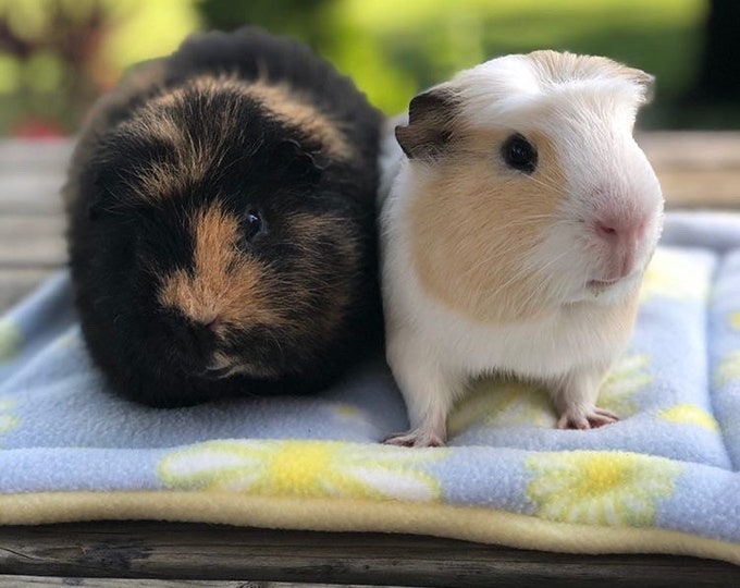 Small Animal Lap Pad Guinea Pig Handling Lap Pad Guinea Pig Bed Fleece