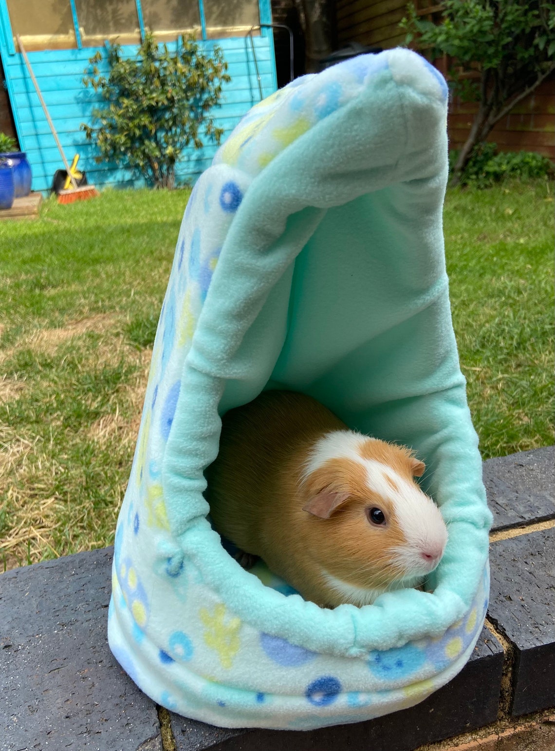 Guinea Pig PiglooPigloo Guinea Pig Bed HouseSmall Pet Etsy