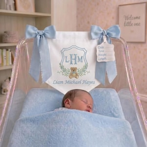 Op de afbeelding: Een pasgeboren baby slaapt vredig in een doorzichtige wieg met een blauwe deken. Een witte banner met de geborduurde initialen "LHM" en de naam "Liam Michael Hayes" hangt erboven. Twee blauwe strikken sieren de wieg.