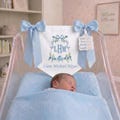 Custom Baby Banner, Welcome Banner, Hospital Door Sign, Baby Shower, Bassinet or Crib Announcement product logo