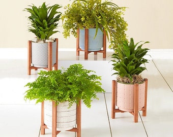 Download Indoor Tree Planter Pot Gif