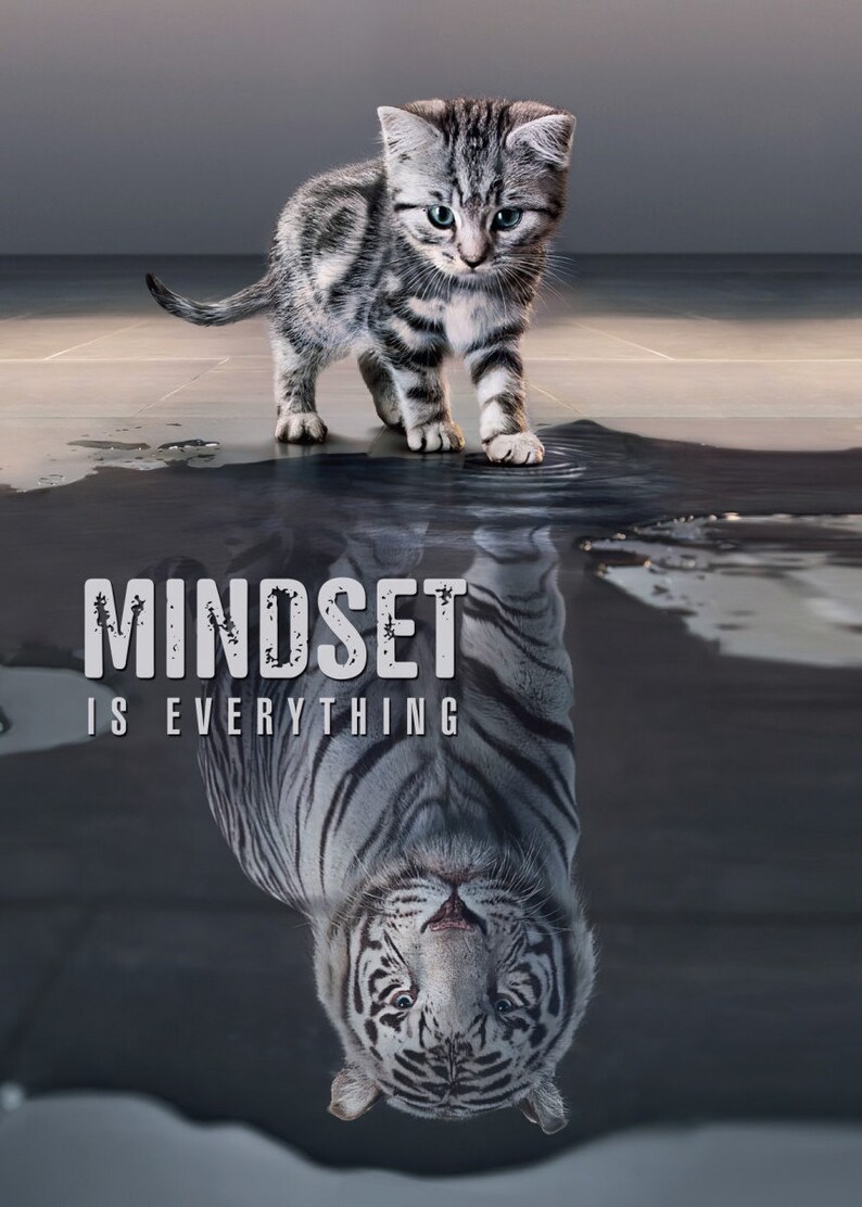 Mindset is everything Poster gloss poster 17x 24 image 1