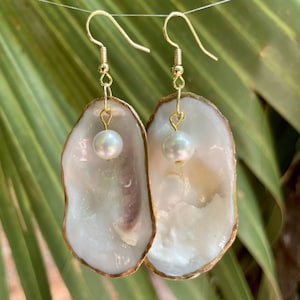 May include: A pair of gold earrings with a white pearl hanging from each. The earrings are made of a white shell with a gold rim.