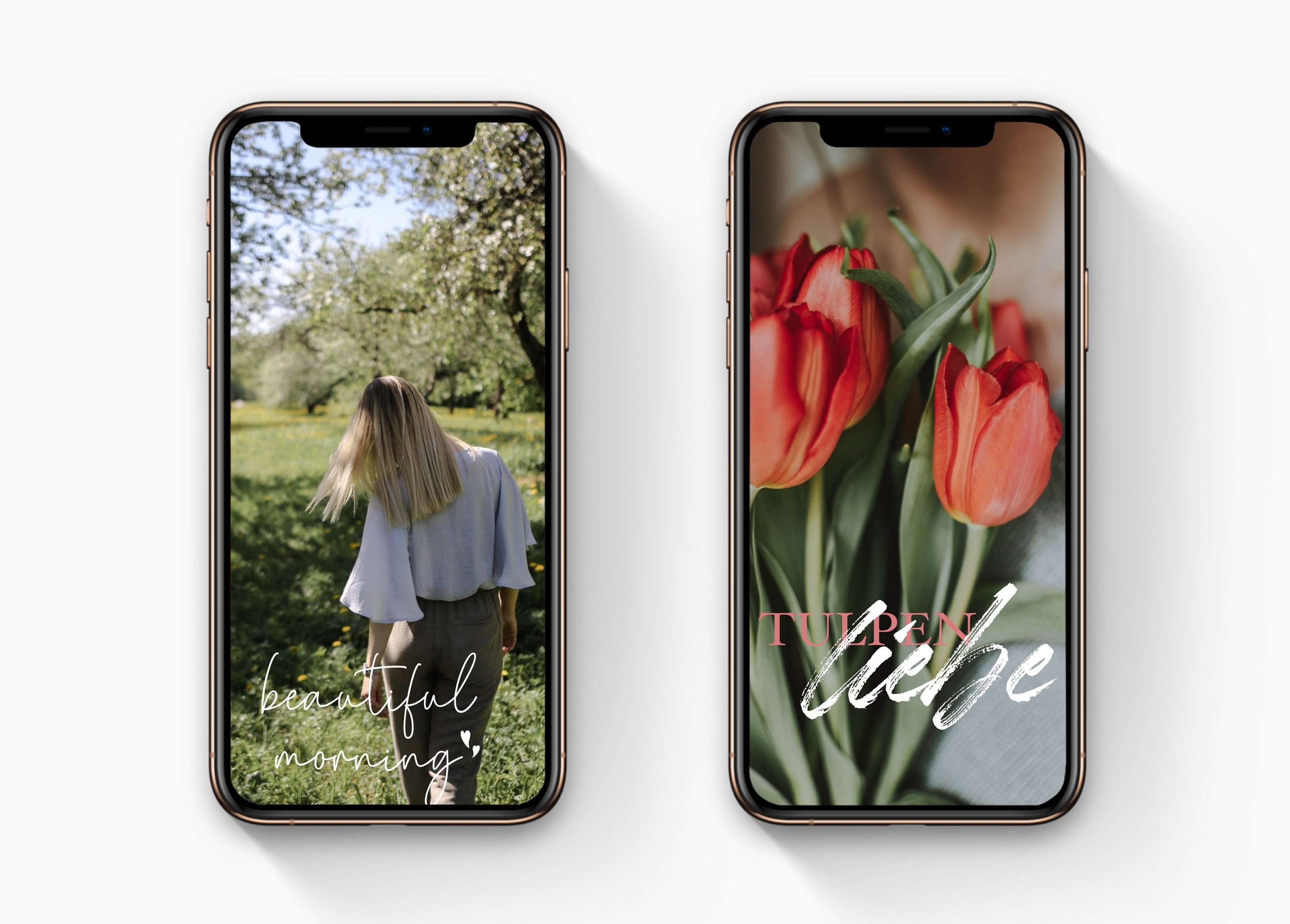 300+ Instagram Story Stickers Spring Easter Garden Spring Flowers ...