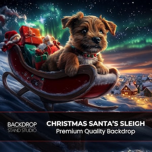 Christmas Digital Backdrop Photography, For Kids, Pets, Dogs, Cats, Fun Christmas Portrait, Santa&#39;s Sleigh, Flying Sleigh. Instant Download