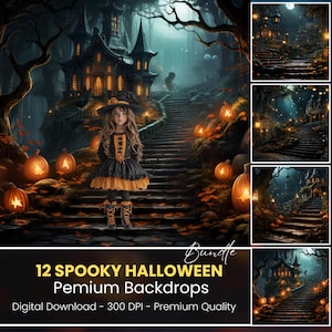 12 Halloween Backdrop, Haunted House, Spooky Halloween Backdrop, Fantasy Fall Path, Halloween Background, Halloween photo backdrop
