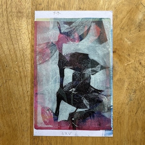 May include: Abstract art print with a black and white image of a plant with pink and blue accents. The print is signed "xx" and "oxv" in the top right and bottom left corners.
