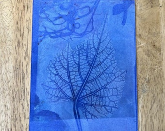 Original monoprint| Fine art printmaking| Botanical garden series |#3 | 8"x 10"| Matted| Unframed| One of a kind