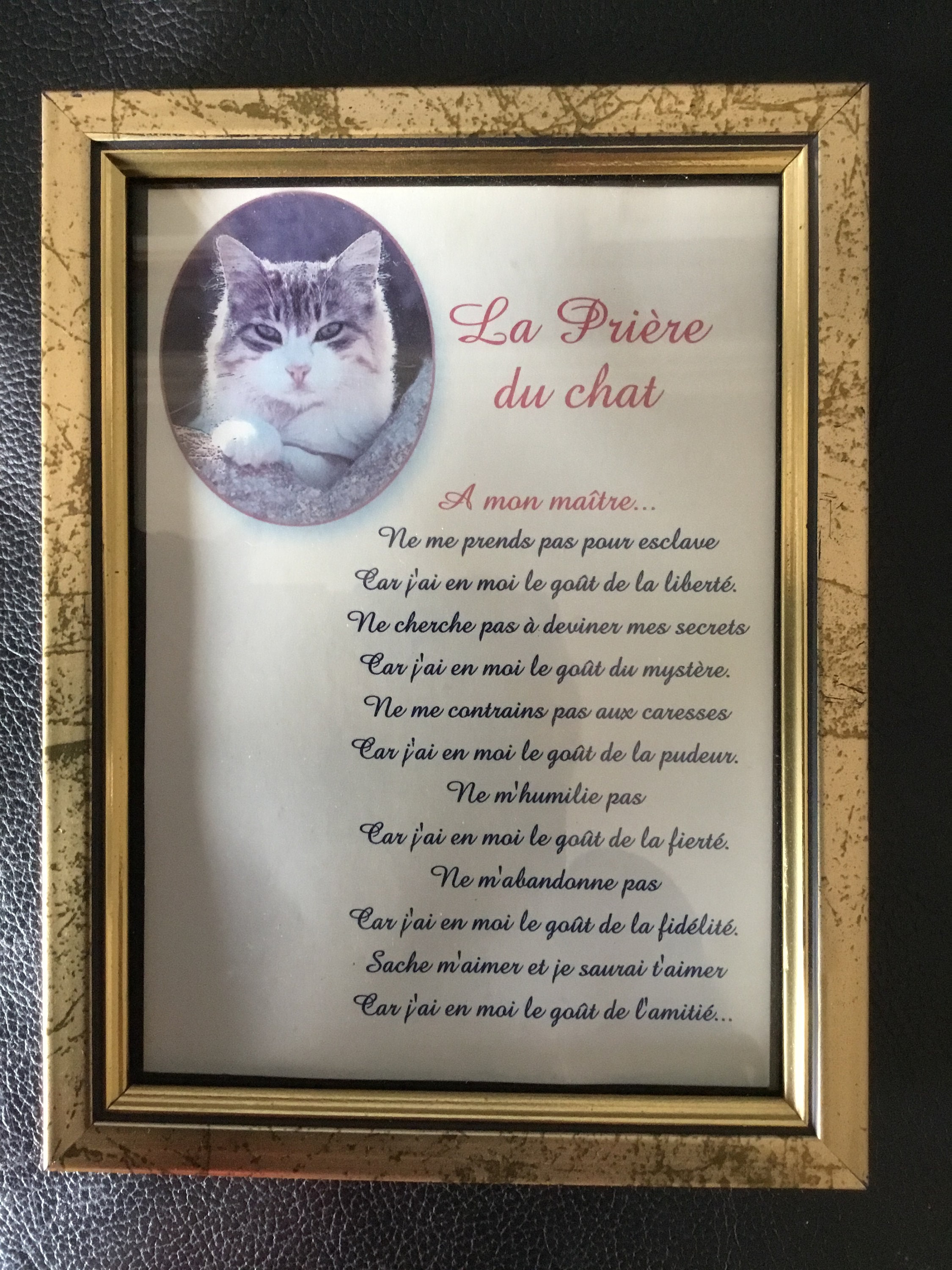 Petit Cadre La Prière Du Chat