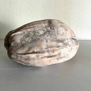 Natural dried coconut, full