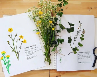 Herbarium