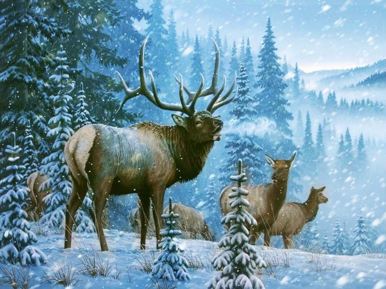 Christmas Deer Latch Hook Kits Large Latch Hook Rug Kit for Etsy