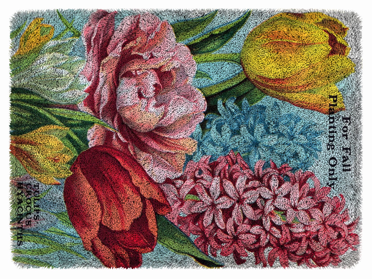 Kit crochet loquet, Natura, Caron, Artisanat, Tapis, Hobby, Intérieur, Déco,  vintage, Photo Pro fleurs et plantes -  Canada