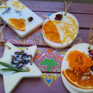 May include: Four white wax ornaments with dried flowers and orange slices. The ornaments are shaped like a star, a circle, and two rectangles. The ornaments are hanging from twine.