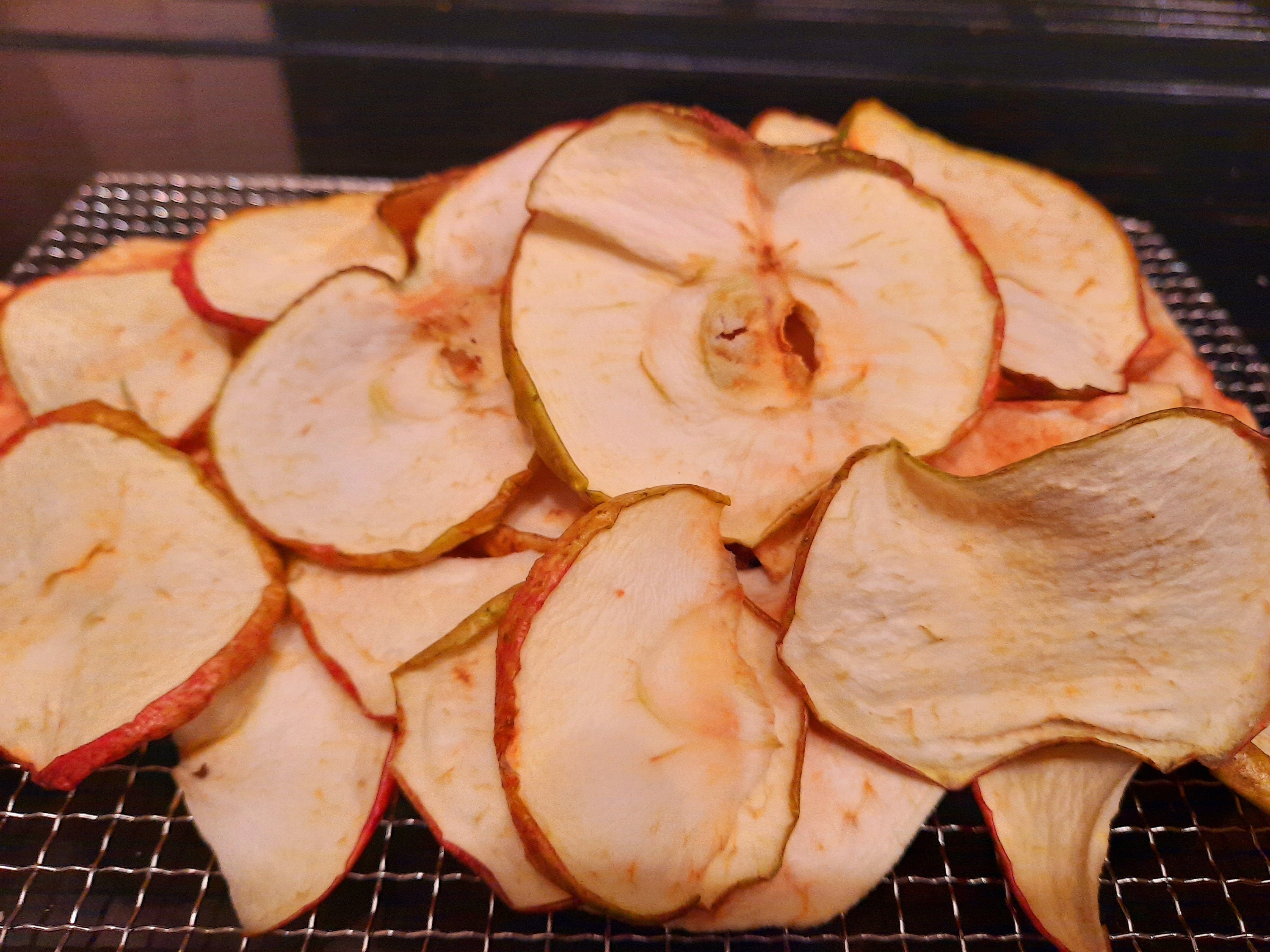 20 x Dried red apples slices edible Christmas floristry Etsy