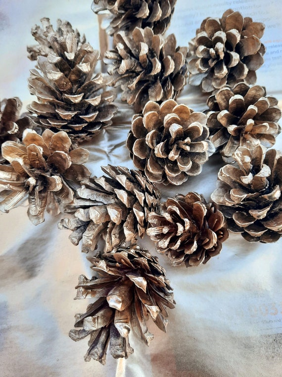 10 X Gold Painted Pine Cones Etsy