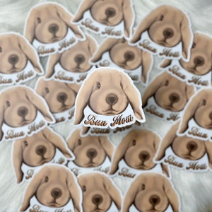 Bunny Sticker / Die cut sticker / laptop sticker / waterproof sticker / bun mom / holland lop / lop sticker / Bunny mom sticker