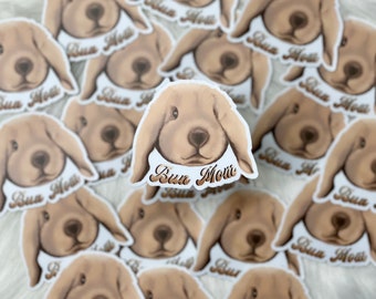 Bunny Sticker / Die cut sticker / laptop sticker / waterproof sticker / bun mom / holland lop / lop sticker / Bunny mom sticker