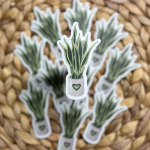 Plant sticker / die-cut sticker / laptop sticker / waterproof sticker / plant mom / snake plant sticker / clear sticker / tropical plants