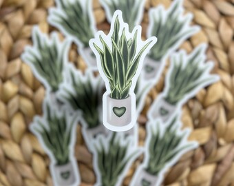 Plant sticker / die-cut sticker / laptop sticker / waterproof sticker / plant mom / snake plant sticker / clear sticker / tropical plants