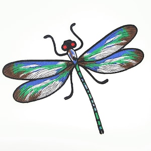 Op de afbeelding: Een kleurrijke libel met blauwe, groene en bruine vleugels. De libel heeft rode ogen en een lange, groene staart.