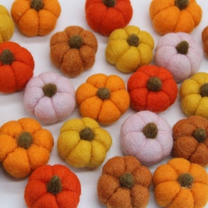 Könnte beinhalten: Eine Sammlung von Filz-Kürbissen in verschiedenen Farben, darunter Orange, Gelb, Rosa und Braun. Die Kürbisse sind alle ungefähr gleich groß und haben eine leicht strukturierte Oberfläche.