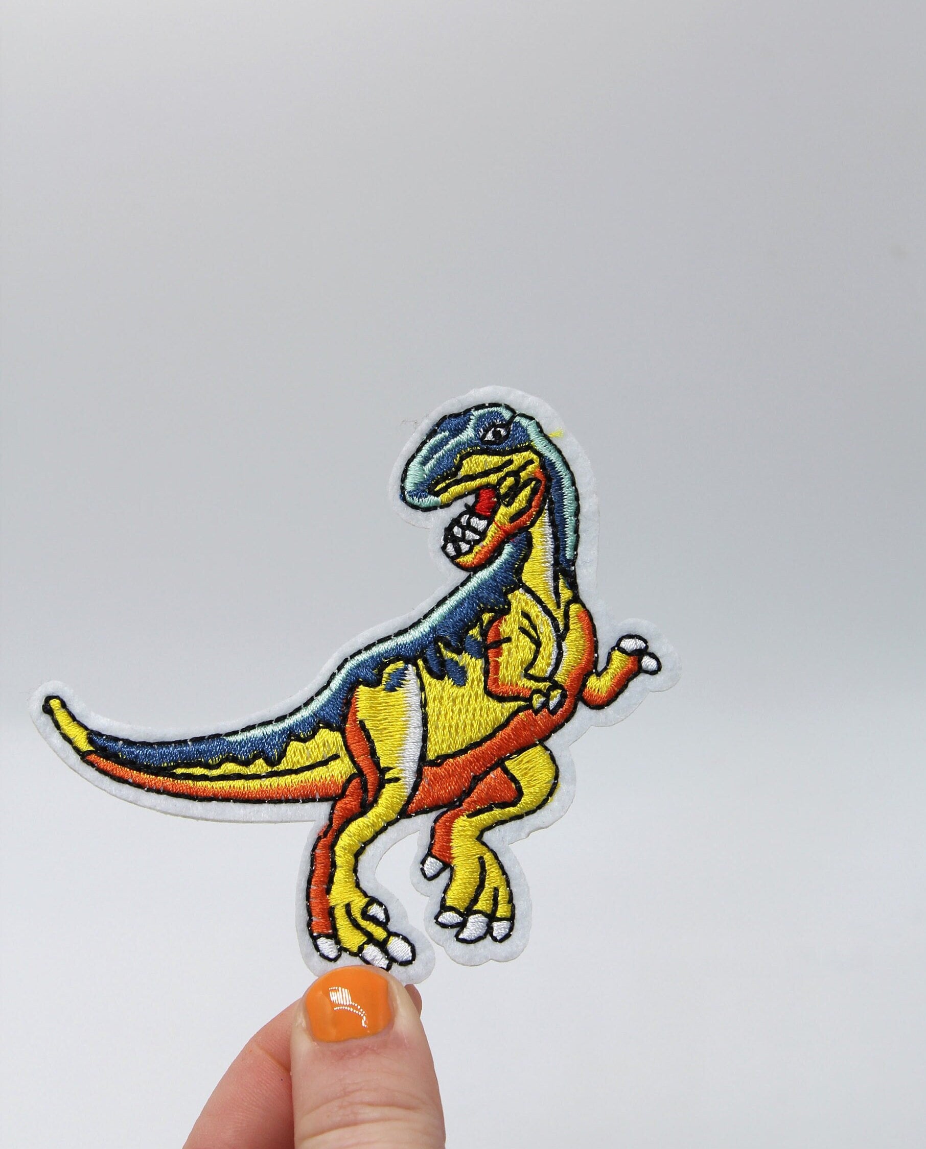 Dinosaur Patch, Iron on Patch,t Rex Patch, Iron on Dinosaur, Patch