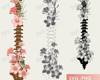 Floral Spine SVG Bundle, Botanical Anatomy Art, Cut File (svg, png, jpg, eps, ai)