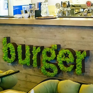 Decoración de pared con logotipo de musgo/Letrero de musgo personalizado/Letra de musgo/Logotipo de musgo personalizado/Decoración de pared verde personalizada/Logotipo de empresa de musgo/Letrero comercial/Letrero personalizado