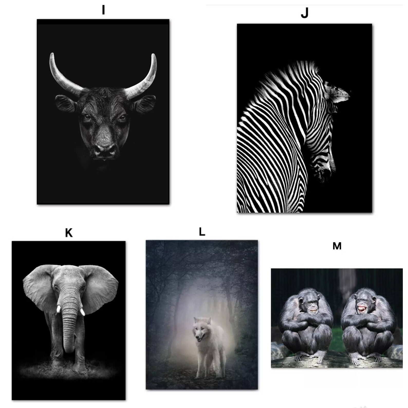 Black And White Animal Canvas Print Etsy