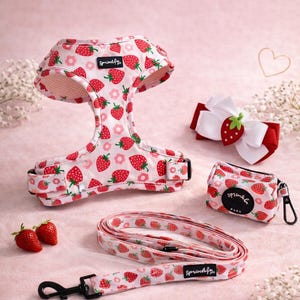 Adjustable Dog Harness, Leash, Poo Bag, Bow Matching Set – Strawberry Shortcake | Modern, Stylish, Cute Designs