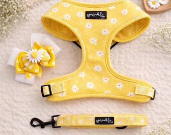 Adorable Daisy Dog Harness Leash Harness Bow Set, Chiffon Pie Yellow -  Adjustable for Fit