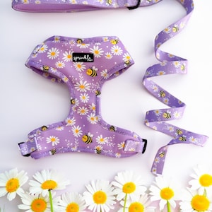 Adjustable Dog Harness and Leash Set – Bee My Honey | Modern, Stylish, Cute Designs