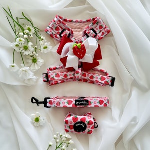 Adjustable Dog Harness, Leash, Poo Bag, Bow Matching Set – Strawberry Shortcake | Modern, Stylish, Cute Designs