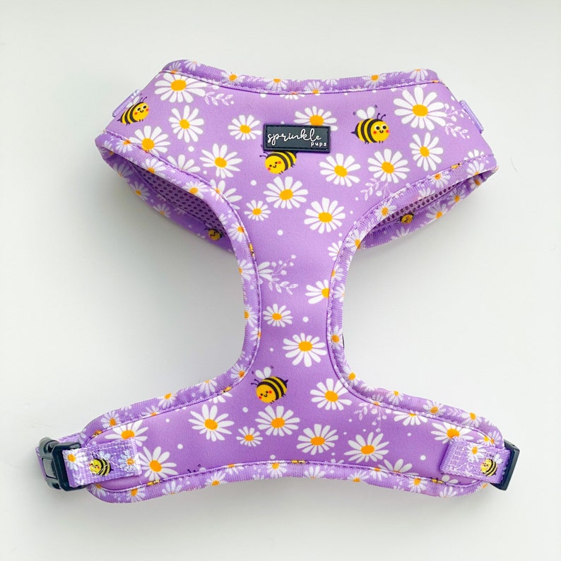 bee dog harness