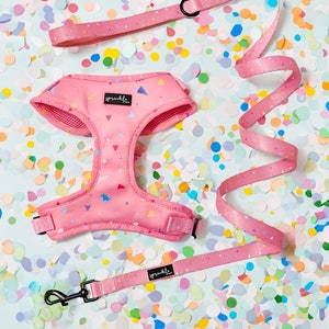 Adjustable Dog Harness and Leash Set – Party Paws | Modern, Stylish, Cute Designs