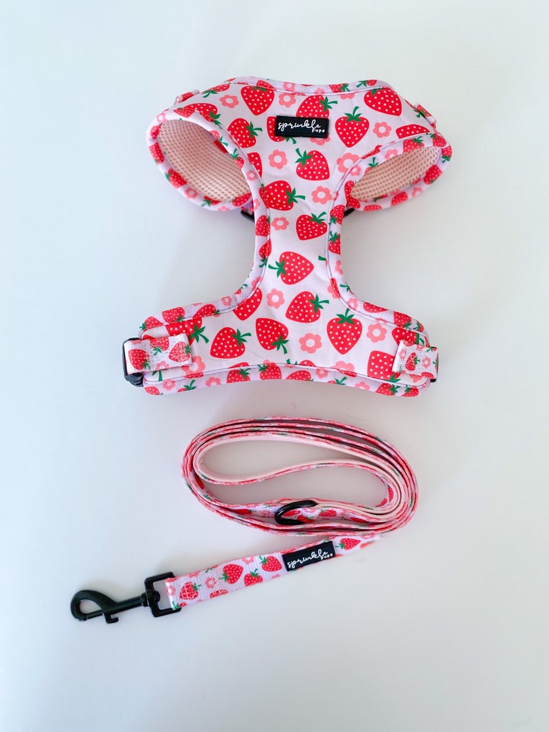 Matching Dog Harness and Leash Sets 7 Designs Etsy