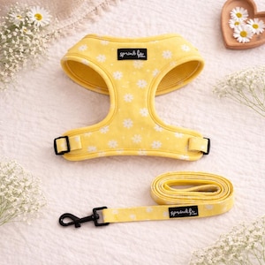 Adjustable Dog Harness and Leash Set – Daisy Chiffon Pie | Modern, Stylish, Cute Designs