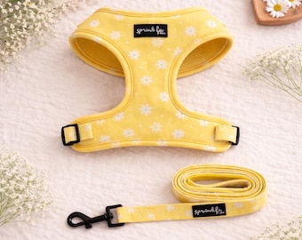 Adjustable Dog Harness and Leash Set – Daisy Chiffon Pie | Modern, Stylish, Cute Designs
