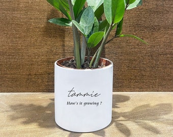 Personalized Housewarming Gift | Live ZZ Plant including | Birthday Gift | New Home Gift