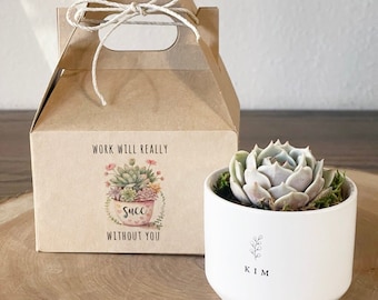 Work Will Really Succ Without You | LIVE SUCCULENT INCLUDED | Birthday, Anniversary, Coworker, Teachers, Best Friend Gift, Valentines Day