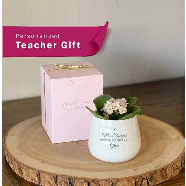 Teacher Gift | LIVE SUCCULENT INCLUDED | Appreciation Gift for Teacher, Plant Gift for Teacher, Unique Gift for Teacher