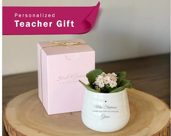 Teacher Gift | LIVE SUCCULENT INCLUDED | Appreciation Gift for Teacher, Plant Gift for Teacher, Unique Gift for Teacher