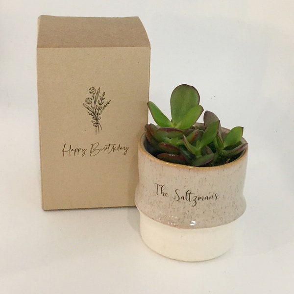 A DY Clay Planter Kt Flled Wth Everythng You Need To Make Your